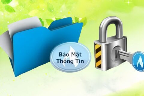 Chính sách bảo mật thông tin cao gừng