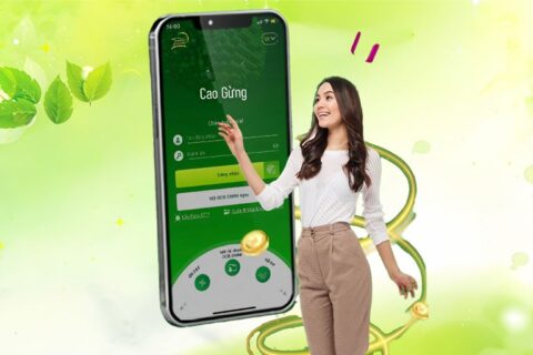 tài khoản cao gừng